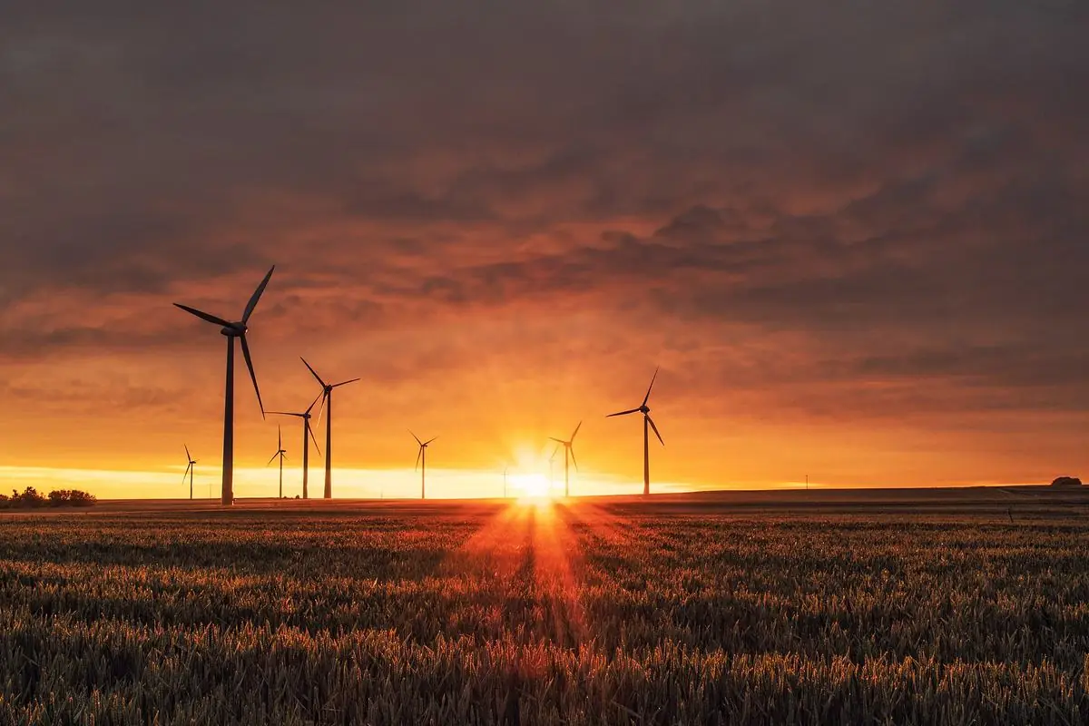 Wind Farm